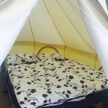 camping garden park