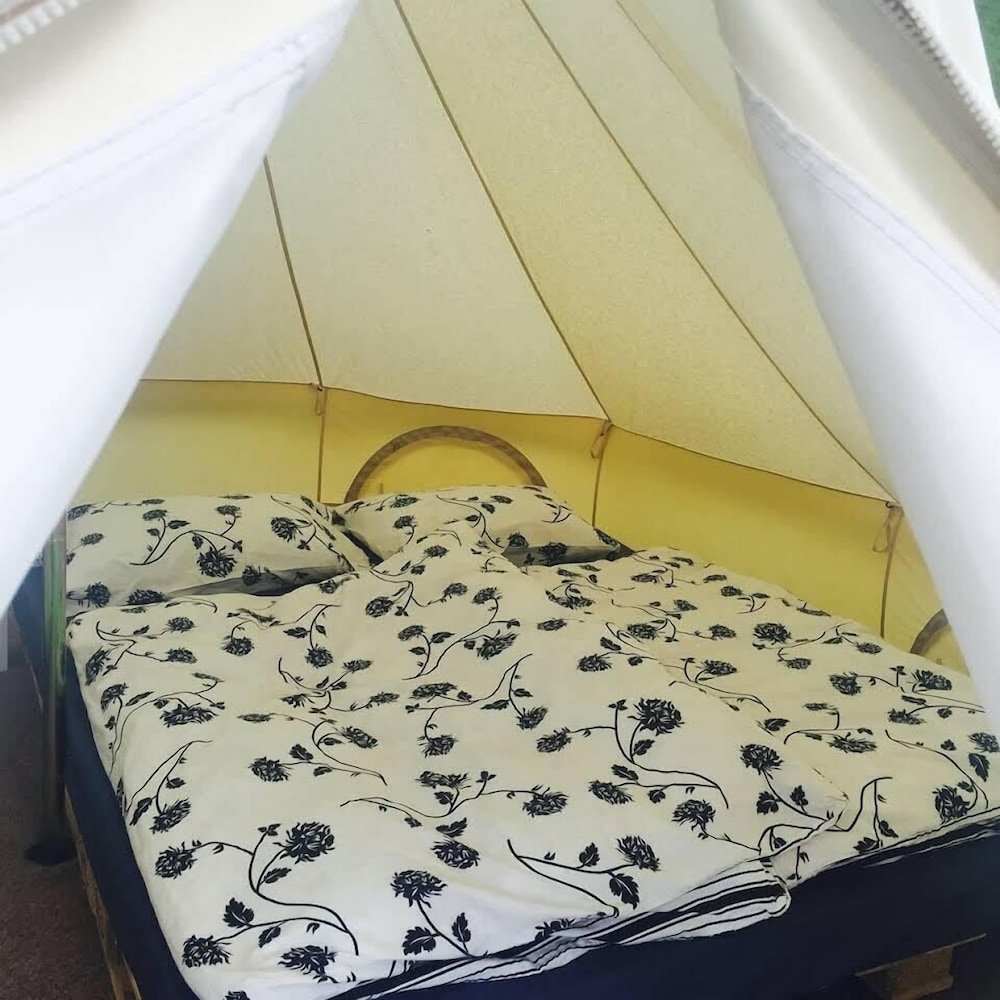camping garden park
