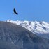 san jose de maipo
