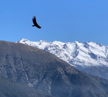 san jose de maipo