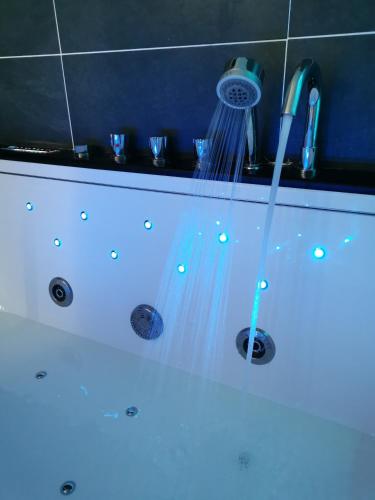 les sansonnets