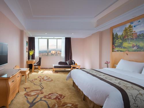 vienna hotel yangchun international shop