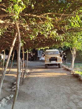 dar tawarta