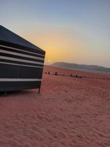 bedouin future camp