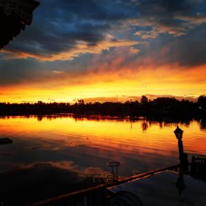 chicago group of houseboats