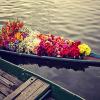 Chicago Group Of Houseboats,Dal Lake>>Srinagar,4 star