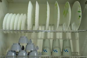 shivoham yoga retreat