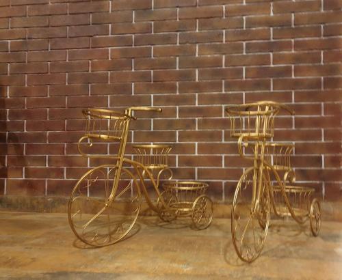 celebrations vagator goa