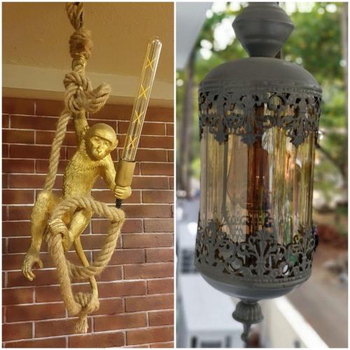 celebrations vagator goa