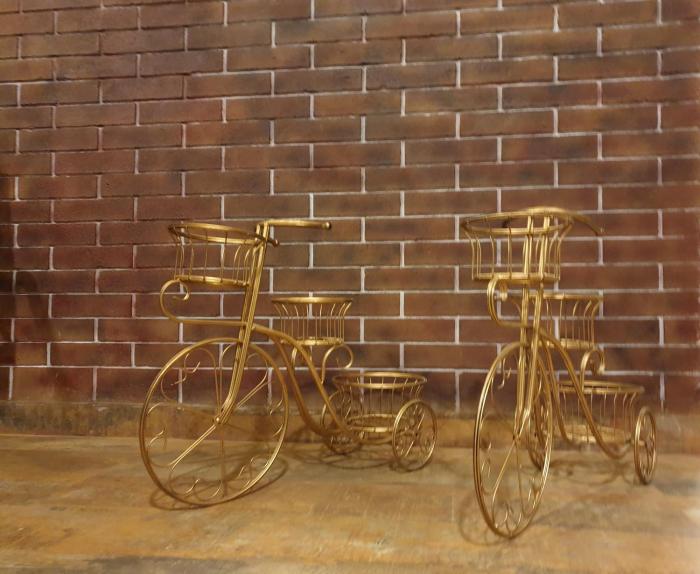 celebrations vagator goa