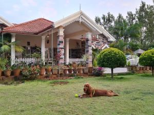 chikkamagaluru
