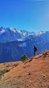 the hidden crest
