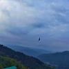 mountain and peace