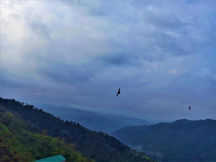 mountain and peace