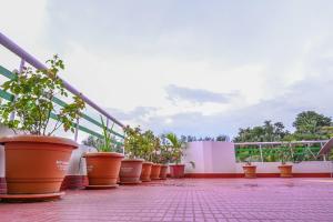 kanchans nest homestay