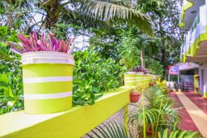 kanchans nest homestay