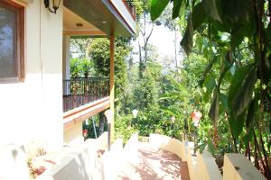 kingmakers plantation with river stream