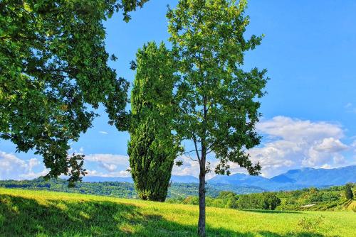 san pietro di feletto