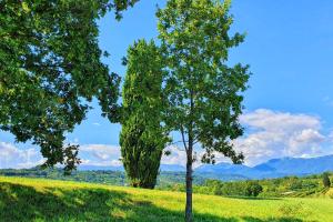san pietro di feletto