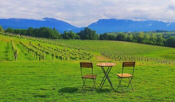 san pietro di feletto