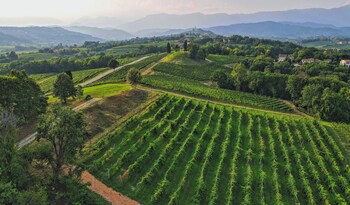 san pietro di feletto