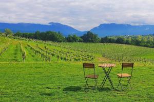 san pietro di feletto