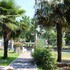 buttapietra