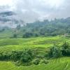mama gia homestay
