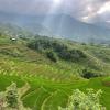mama gia homestay