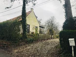 ronse