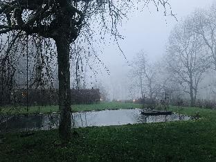 ronse