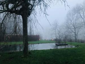 ronse