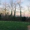 ronse