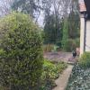 ronse