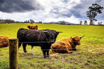 glencoe country bandb