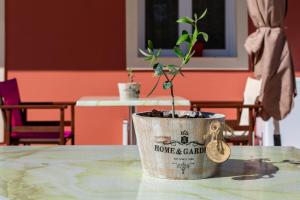 zante pantheon hotel