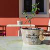 zante pantheon hotel