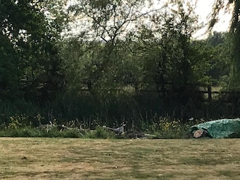 coundon lodge coventry