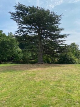 coundon lodge coventry