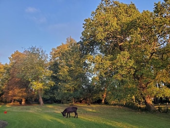 coundon lodge coventry