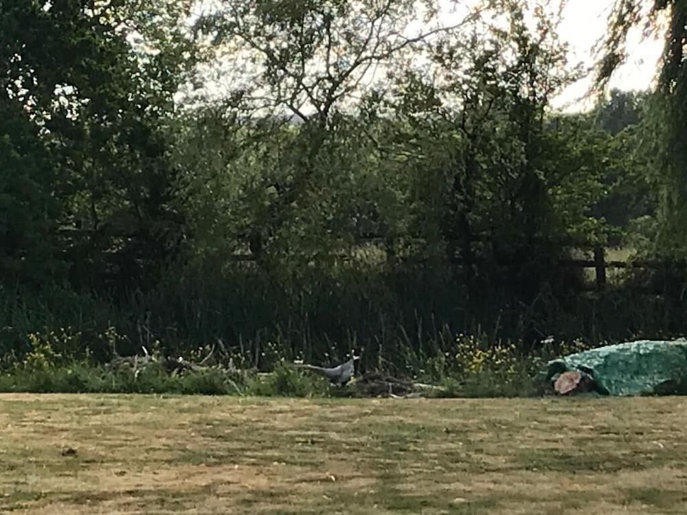 coundon lodge coventry