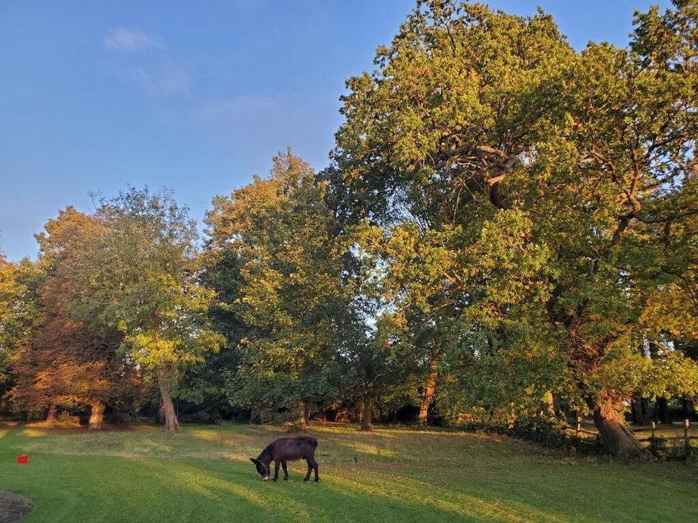 coundon lodge coventry