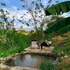 ankua eco hotel