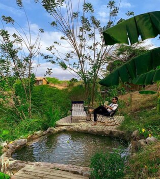 ankua eco hotel