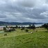 guatavita
