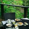 heritage lodge in the daintree