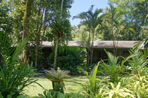 heritage lodge in the daintree