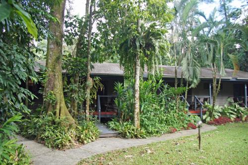 heritage lodge in the daintree