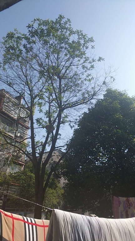 Fangxin Hostel,,2 star