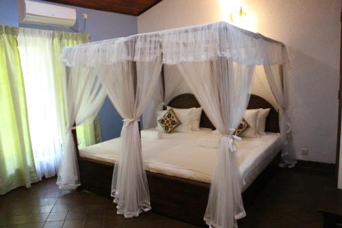 xotic resort